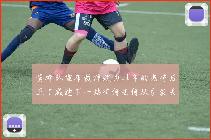 黄蜂队宣布裁掉效力11年的老将后卫丁威迪下一站将何去何从引发关注