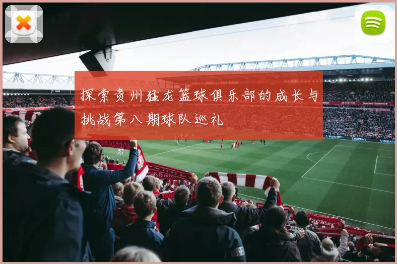 探索贵州猛龙篮球俱乐部的成长与挑战第八期球队巡礼