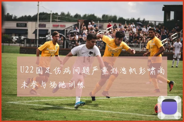 U22国足伤病问题严重刘浩帆彭啸尚未参与场地训练