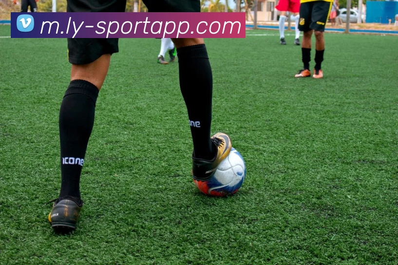 乐鱼体育平台生态图